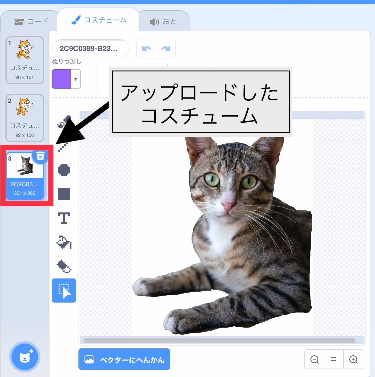 ネコの写真がコスチュームとして追加される