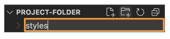 VS Code Styles Folder Input