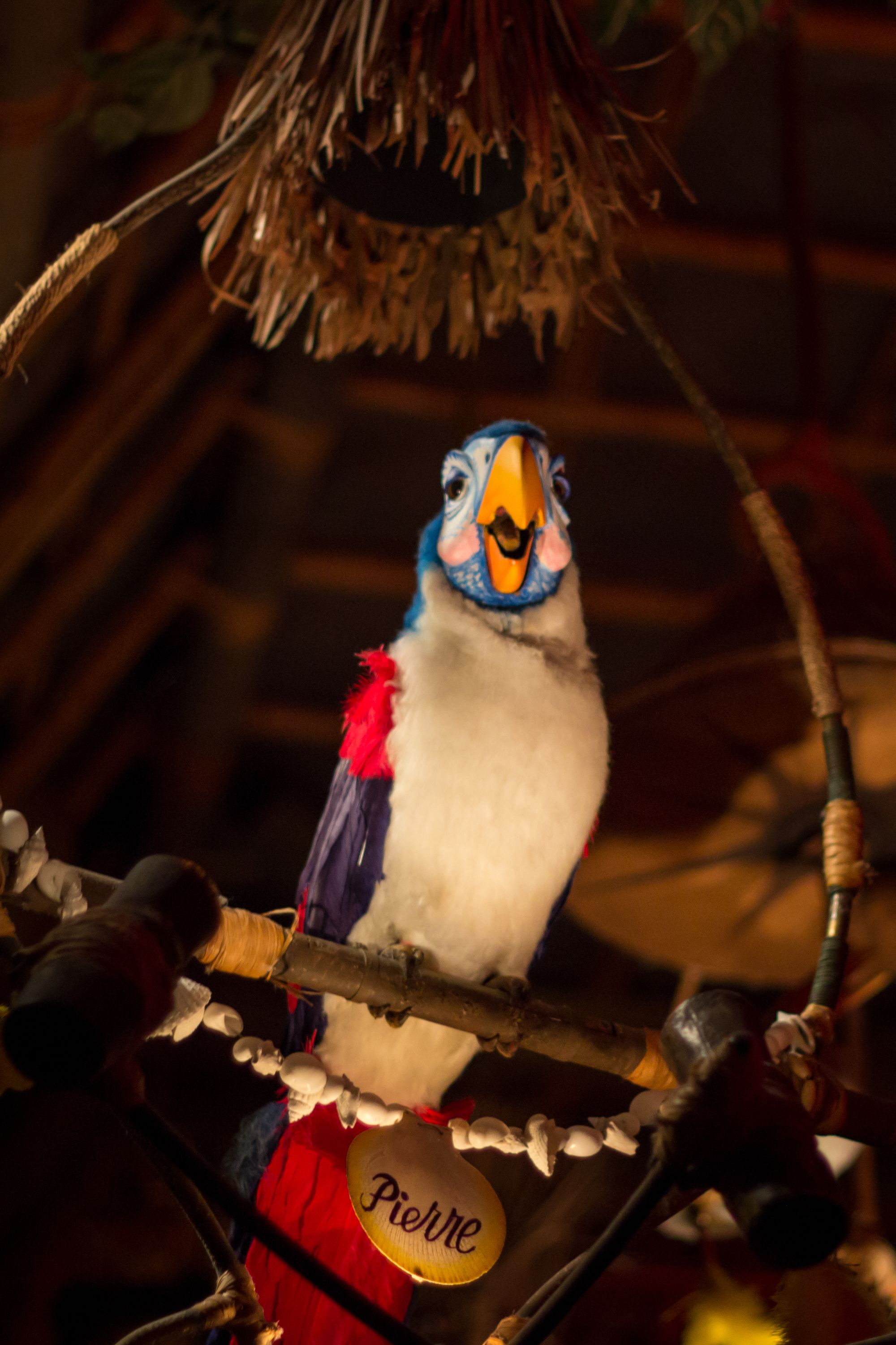 Animatronic bird in the Enchanted Tiki Room
