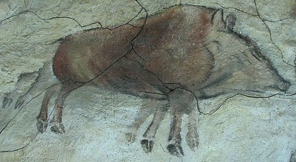 Wild Boar with Eight Legs Wild Boar with Eight Legs
